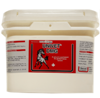 Univet DMG natural supplement for equine use and improved performance for horses